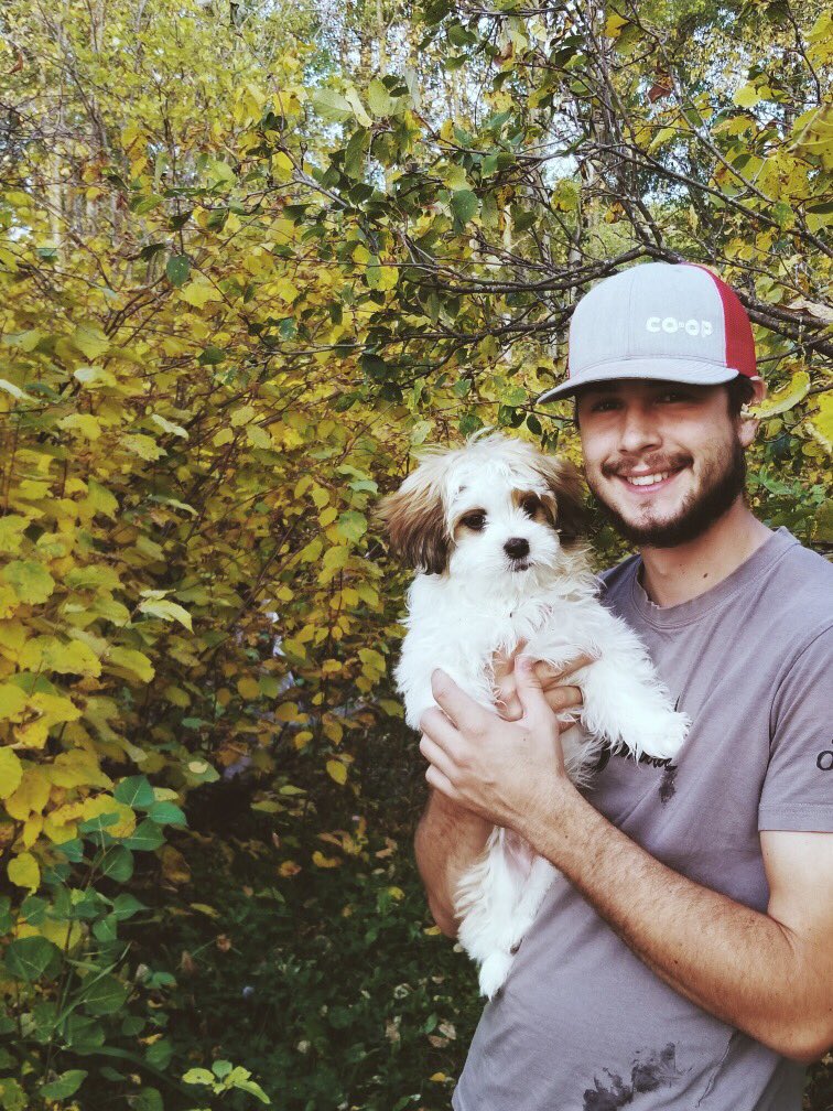 gymteecha tweet media