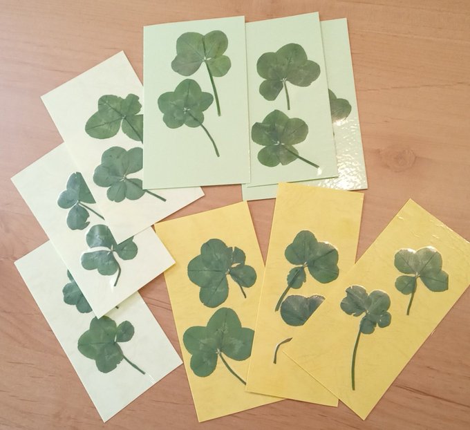 五つ葉のクローバーのtwitterイラスト検索結果 古い順