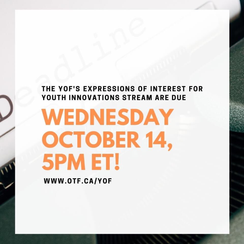 Maja Saletto tweet media