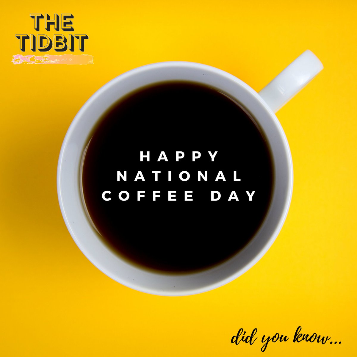 The Tidbit tweet media