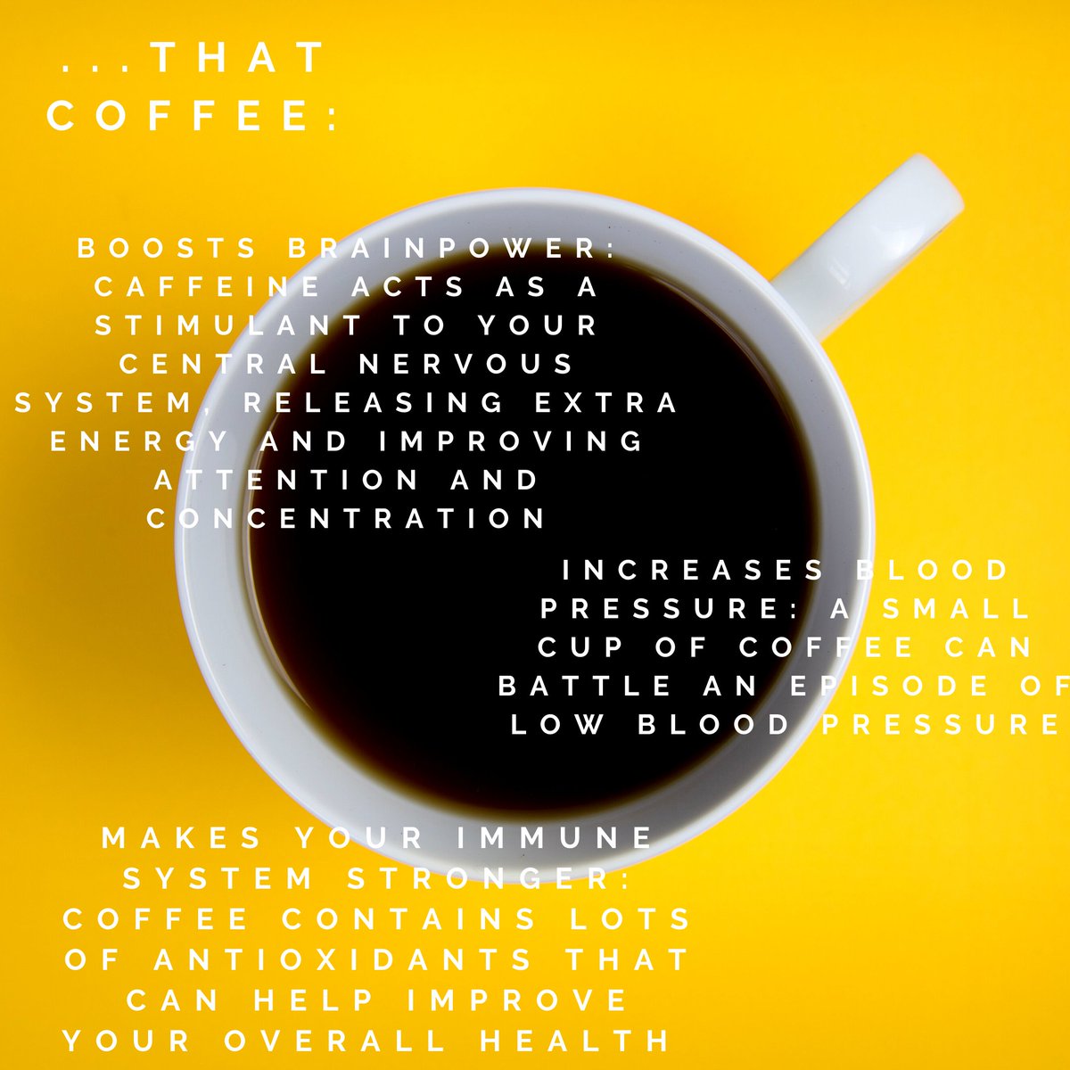 The Tidbit tweet media