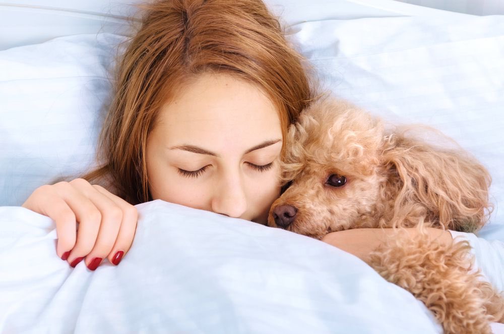 DogLoversForev2's tweet photo. The bond with a true dog is as lasting as the ties of this earth will ever be.🐶❤️👩🏼

#dogs #dog #doglovers #doglife #dogoftheday #ikeadog #dogsofarizona #bestdogdayever #doggo #dogmemes #dogstyle #dogwalker #puppy #puppylove #puppylife #puppy_tales #puppyface #sleep #love #girl https://t.co/2Whe7lLkms