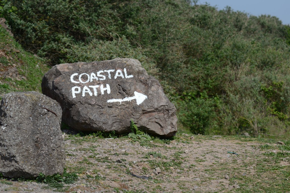 Number 15 - our little stretch of the  @WalesCoastPath which starts in  #Splott and goes all the way to  #Newport. It also has a little-known beach, if you head right at the end of the Lamby Way towpath (see number 8)  #cardifflocallockdown
