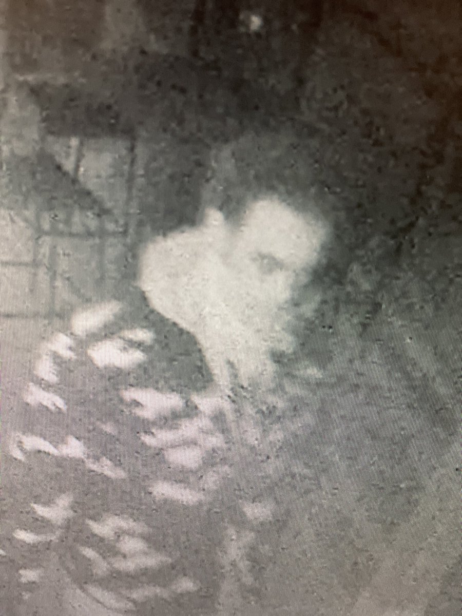 ranchgolfcourse's tweet image. Do you recognize this person? He broke into The Ranch last night stealing many Taylor Made Golf Clubs. If you do recognize him and/or see several Taylor Made clubs get posted for sale, please email me at gm@theranchgolf.com 
Appreciate any help anyone can provide.