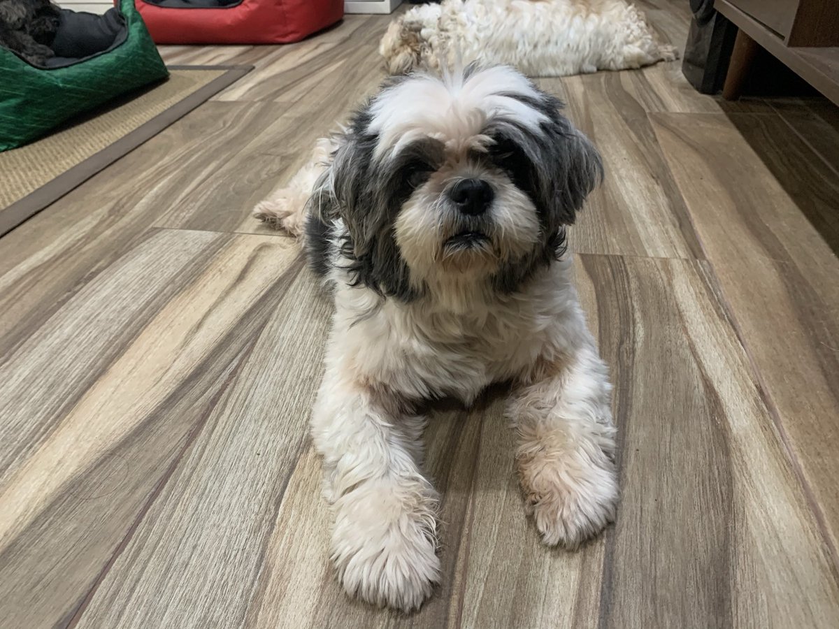 ayson's tweet image. 