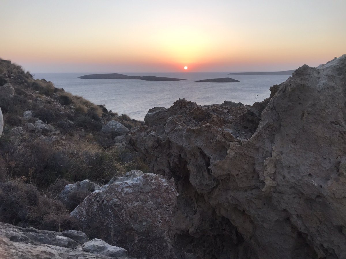 Winnicott Wednesdays tweet media