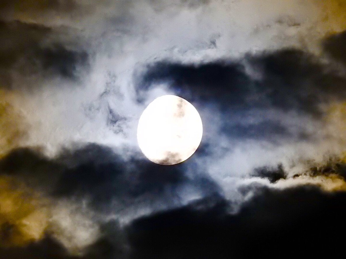 Steven Aldridge tweet media