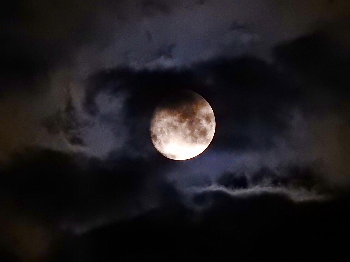 Steven Aldridge tweet media