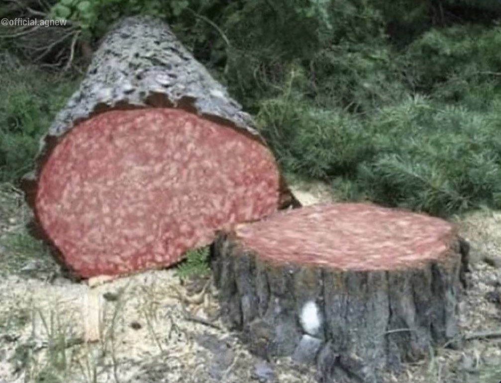 When you cut down a tree in Italy