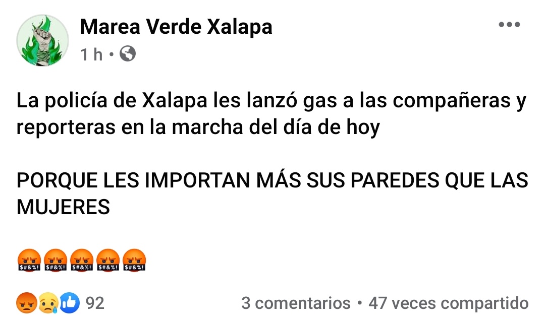 ValeriaMarcial's tweet photo. La policía de la Cuarta Transformación en Veracruz, no nos cuida, no nos protegen, nos agreden y nos reprimen.

#28deseptiembre #AbortoLegalYa #SeraLey #AbortoLegal2020 https://t.co/casOMfDYAe
