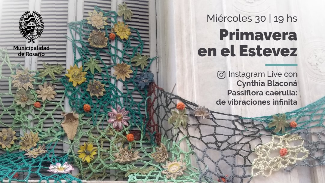 EstevezMuseo's tweet photo. Primavera en el Estevez.
Florece el museo con una nueva charla en vivo. El miércoles 30 a las 19 hs. dialogaremos con Cynthia Blaconá sobre Passiflora caerulia: de vibraciones infinitas. 

#museoencasa #museoestevez #rosariosecuida
@CulturaRosario @MuniRosario https://t.co/lqLYMPj8ZD