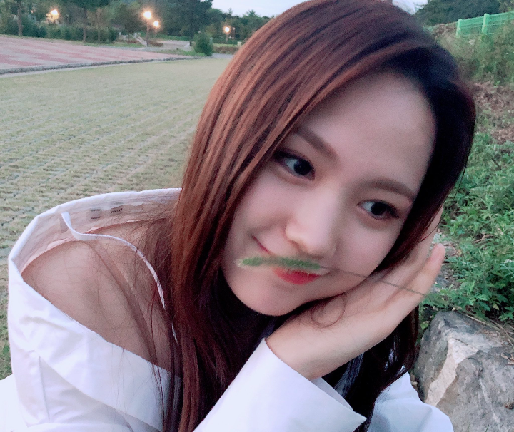 DreamnoteWorld's tweet image. [#DreamNote] Written by #Sumin #DreamNoteDay

It's been a long time since the grass 🌱🌿🍀

#드림노트 @iMe_Dreamnote