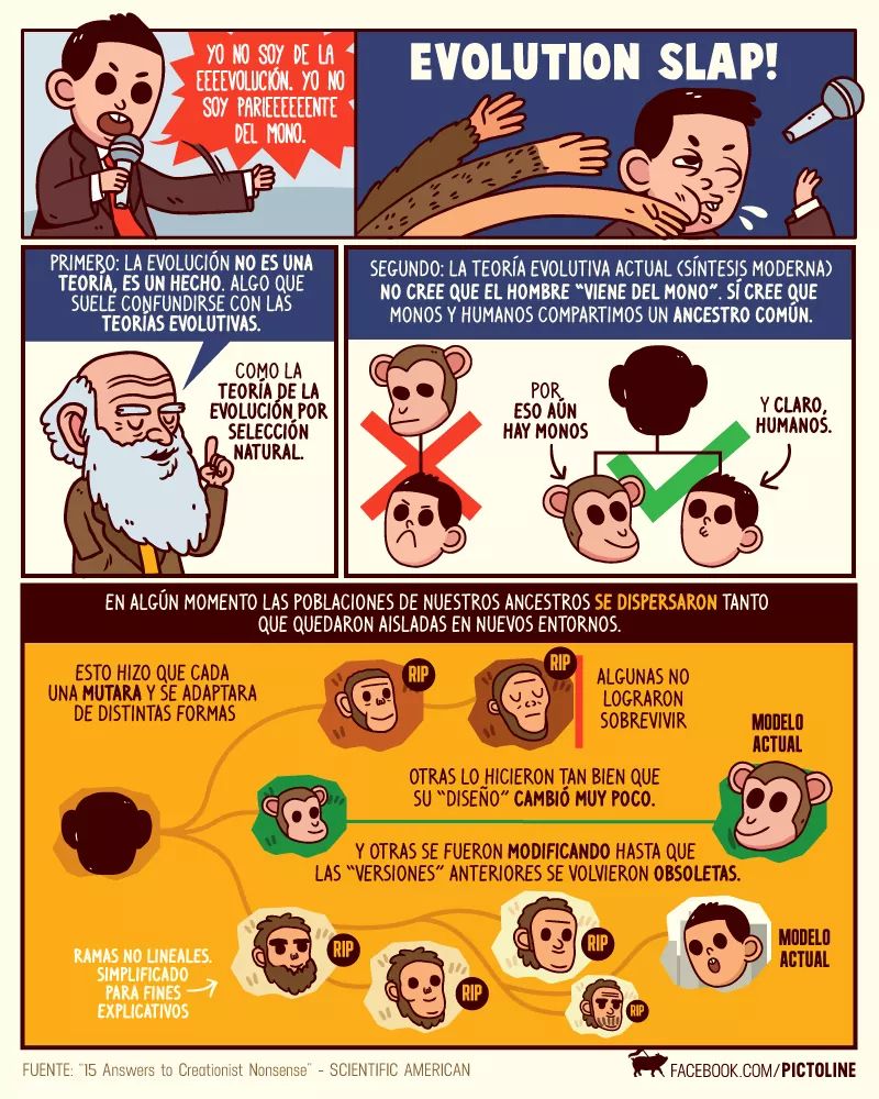 Serioju1's tweet photo. Sin herir susceptibilidades aquí muy bien explicado el hecho real que los humanos provenimos de un ancestro común. Algunos primates murieron, otros se adaptaron a sus espacios vitales y otros fueron flexibles para ir modificando estructura y conducta🙈🙉🙊
¡SÍ todos somos primos¡ https://t.co/u6tPQjl4WO