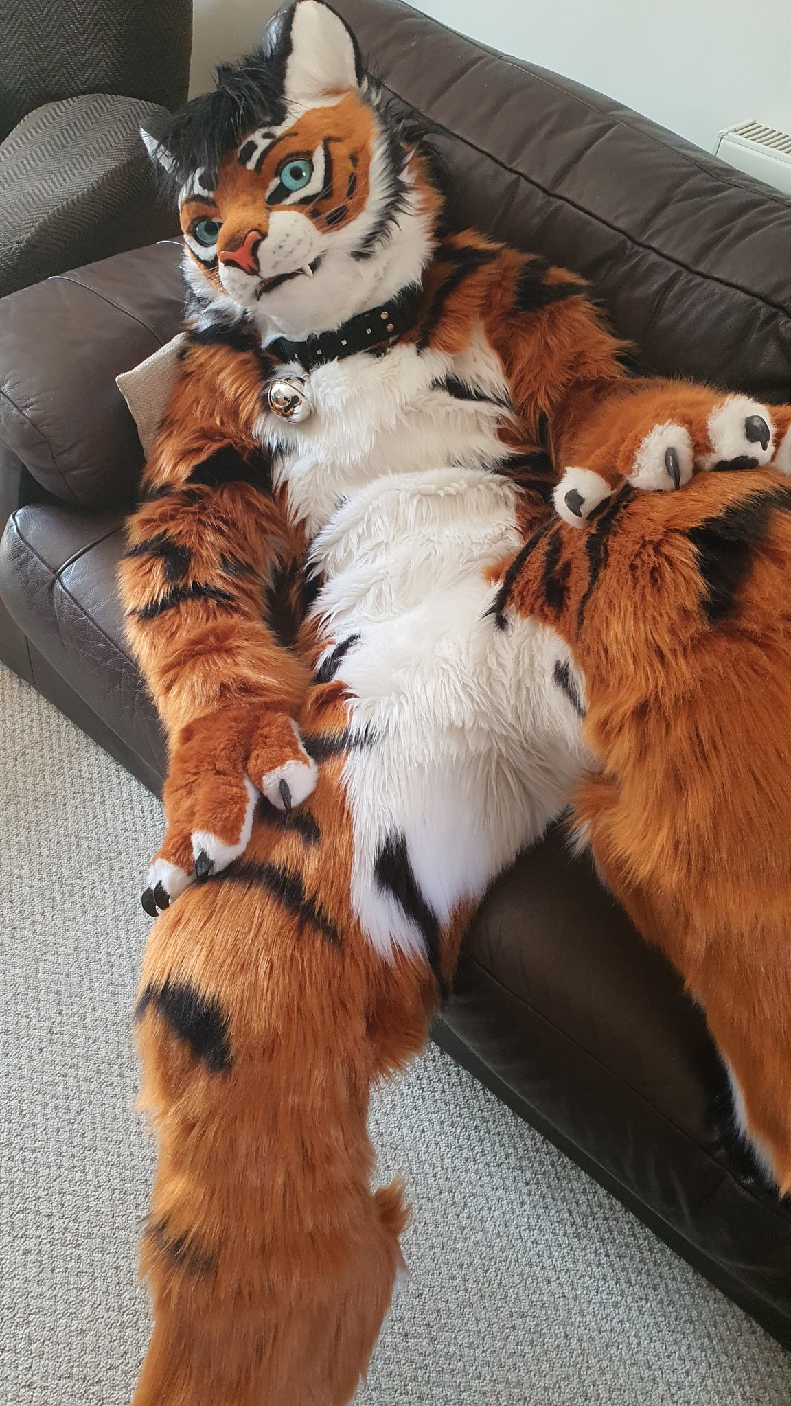 Thunder Tail 🇬🇧🐯 🔜 ConFuzzled on X: Oh hello there don't mind me just  chilling. 😸😇 #tigertuesday #furry #furryfandom #fursuit #tiger #sexy  #cute #cutenessOVERLOAD t.coP1ALlJbdFo  X
