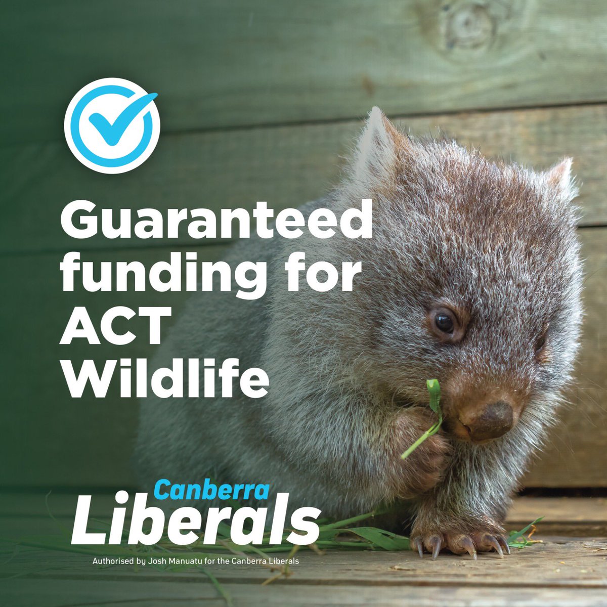 The amazing volunteers at <a href="/ACT_Wildlife/">ACT Wildlife Volunteers</a> care for sick, injured and orphaned wildlife in the #ACT. A <a href="/CanberraLibs/">Canberra Liberals</a> government will support their great work with funding of $50k per year and an animal ambulance 

There is a better way #VoteLiberal