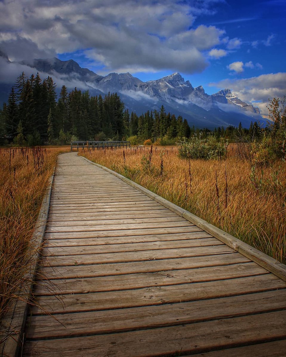 Where did your walk around downtown Canmore take you this weekend? We guarantee some nice colours along the way! #lovecanmore #canmore 📷 @braedanlovett⁠
