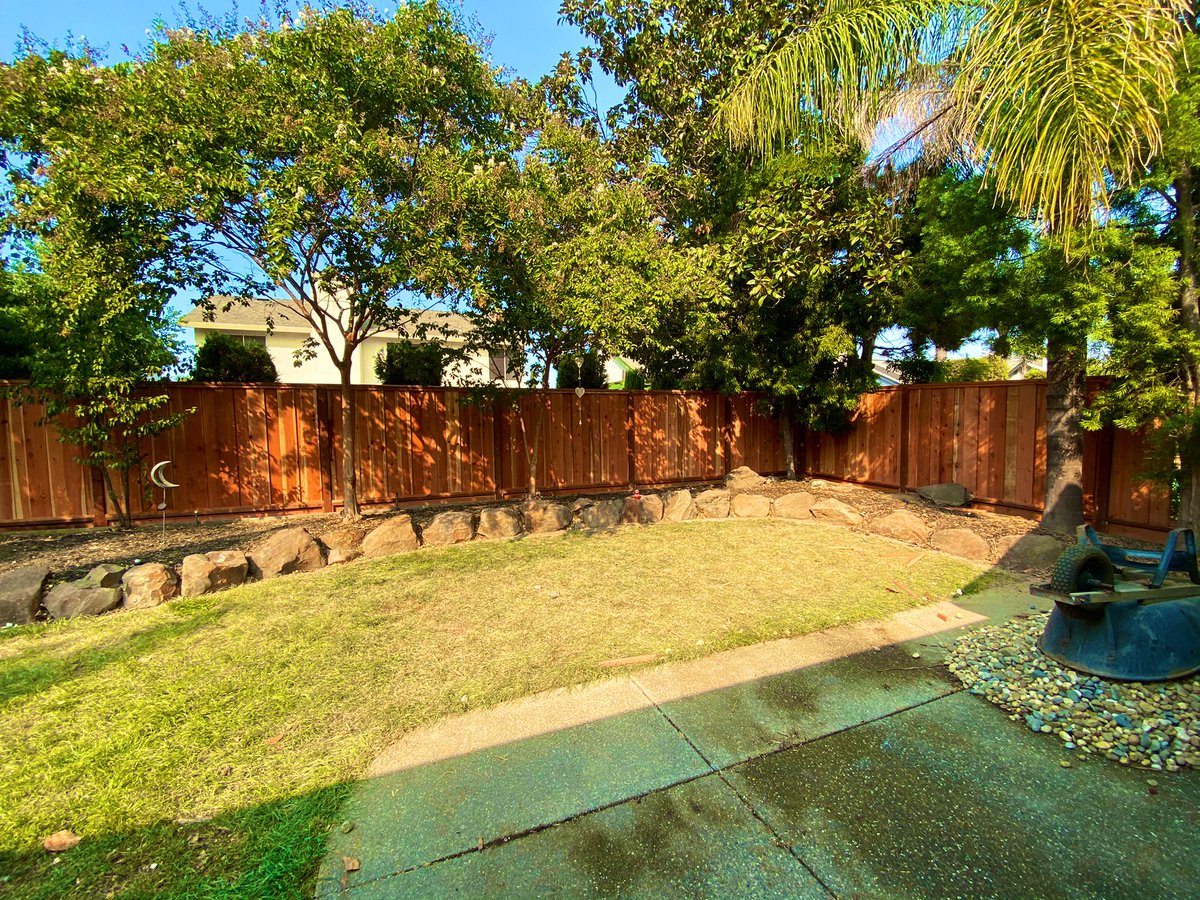 It’s so pretty I could cry! Waited 3 years for this new fence and I couldn’t be happier!!! 🥰 Now time to make it my tropical oasis 🌴🌸🌺💡#Homeownerlife