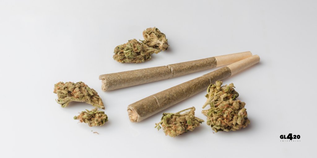 Clonegoddess's tweet photo. Alzheimer’s disease is caused by cognitive degeneration. As you grow older, it is unavoidable to prevent cognitive degeneration.  Cannabis’s endocannabinoid contains anti-inflammatories that fight the brain inflammation that leads to Alzheimer’s disease! @officialgl420 #GL420 https://t.co/ZcNfv4ZTXC