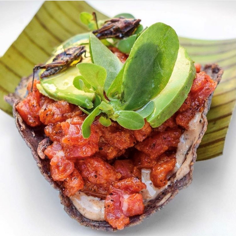 NYCWFF's tweet photo. Let’s taco ‘bout today’s #CHEFSOFNYCWFF, @JustinBazdarich at the infamous Michelin starred @Oxomoco. Visit our Instagram to learn about Chef Justin and all of the yummy authentic Mexican, wood-fired dishes you can have at #NYCWFF, 10/9.🥑🌮 https://t.co/BmWwWB8xMk https://t.co/RmIaCocaXp