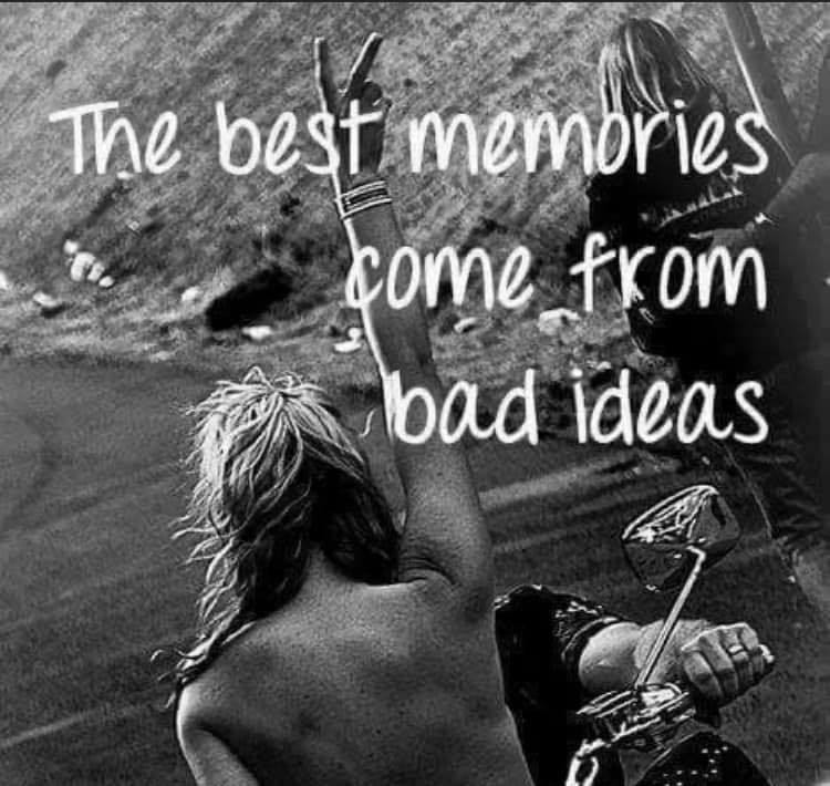 Non Docile tweet media