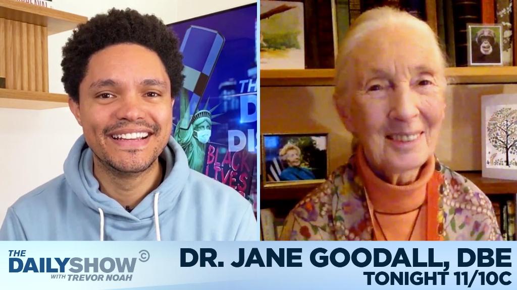 TheDailyShow's tweet photo. TONIGHT: @JaneGoodallInst is here to talk about the work she’s doing with her institute and why she remains hopeful for the future. https://t.co/lnSoyvBg4n