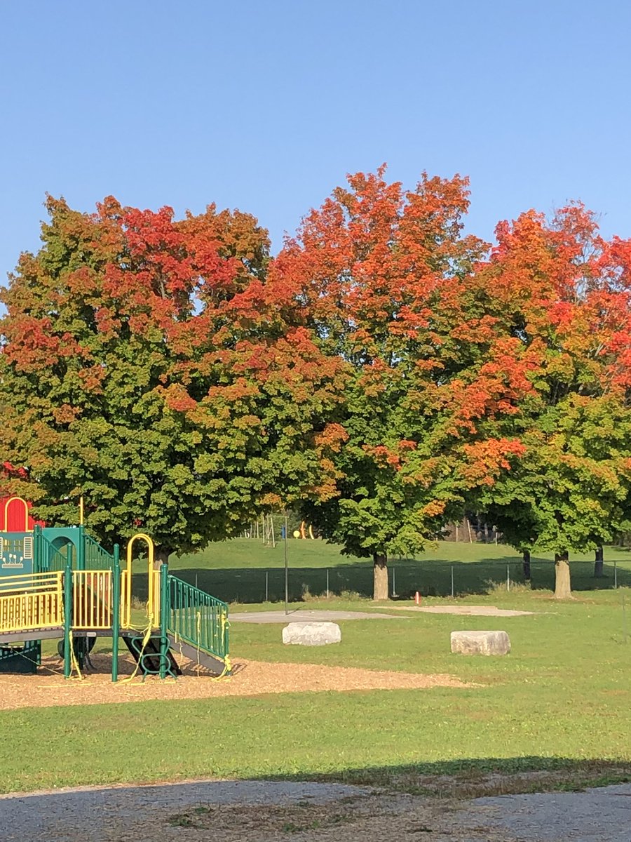 griffink79's tweet photo. Beautiful start to a Monday morning🍂🍁🌻🌞#simplethings https://t.co/trIY4xklLr