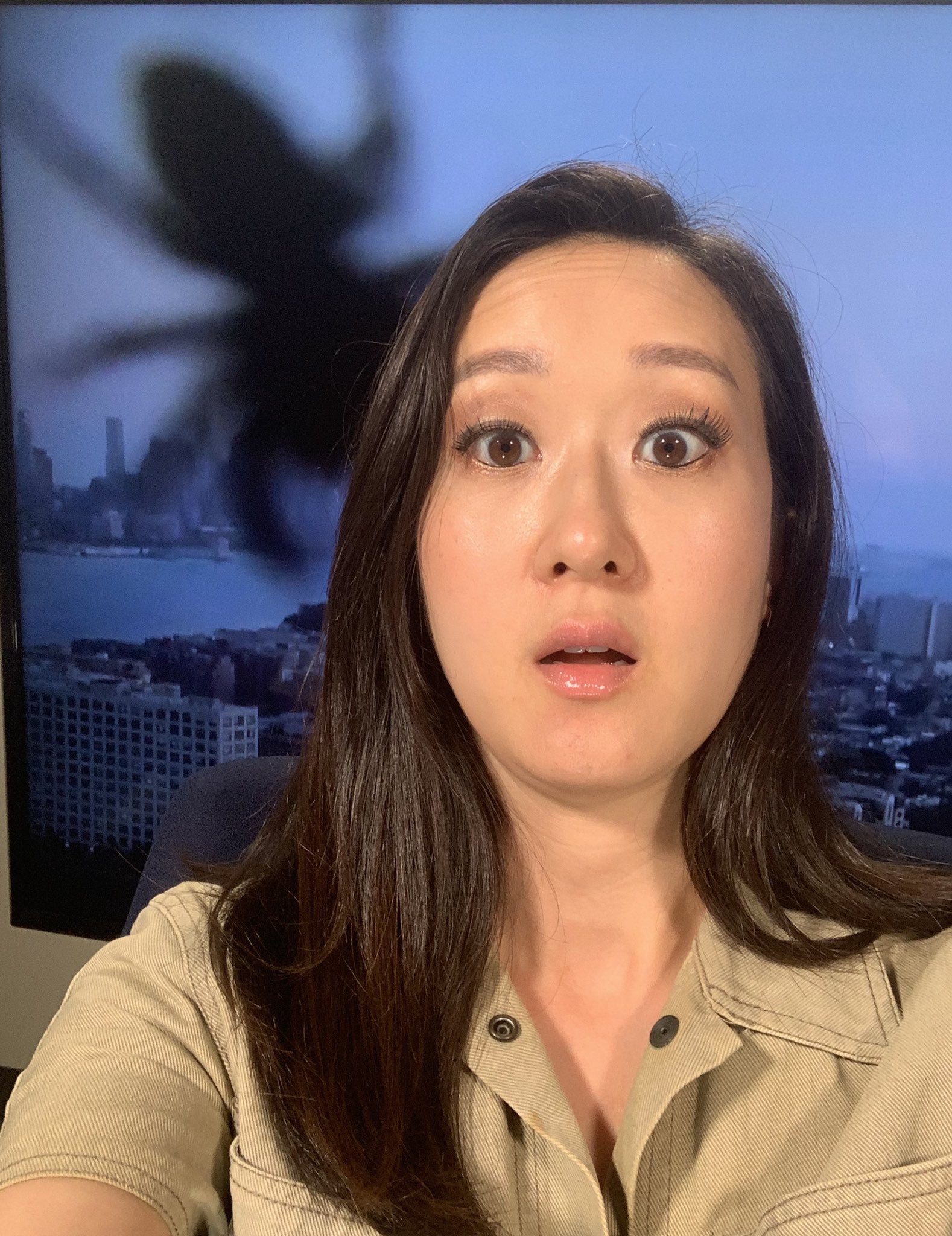 Karen Lee (KarenLeeNews) / Twitter