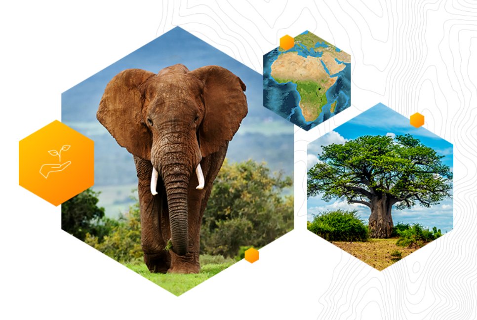 Esri_Conserv's tweet photo. Have you heard about our Esri Conservation Grant program yet? 🌍
.
.
This program is designed to offer discounted to free access for @Esri software related to environmental conservation. The program is available for all to apply too.
. 
.
Apply here 👉 https://t.co/KkhUaA8nvw https://t.co/65yFUbALWn