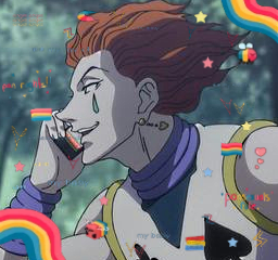 hisoka // pansexual - leorio // bisexual