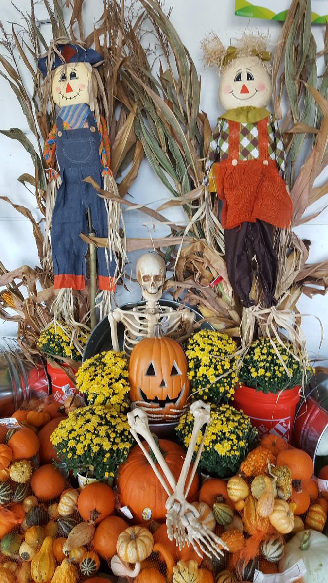I have the best plant vendors !! How cute is this !? #kidsgonnalove #pumpkintime #boo ⁦<a href="/ChrisDurand_HD/">Chris Durand</a>⁩ ⁦<a href="/TAMMYLOYD1974/">TAMMY</a>⁩