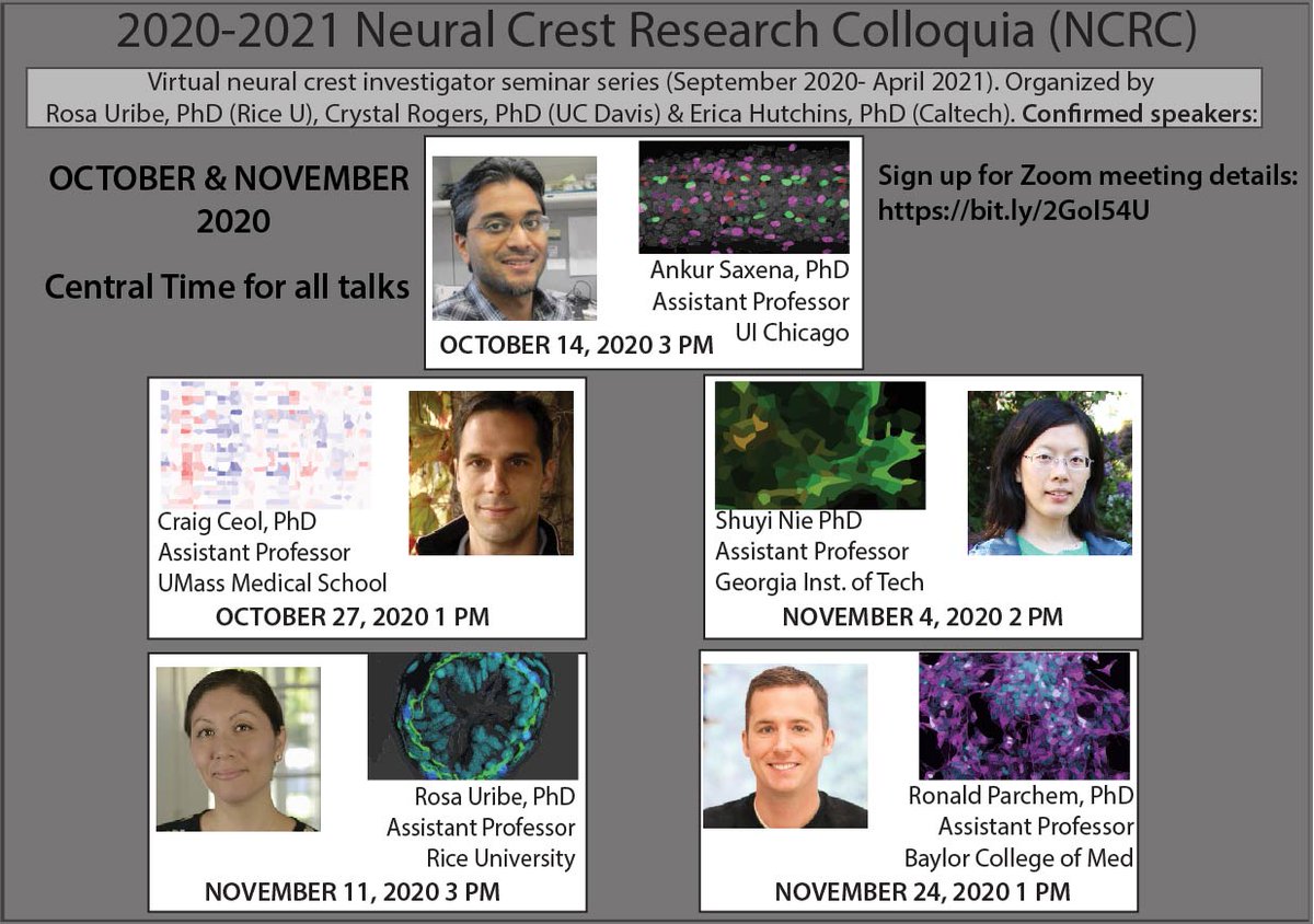 uribelabrice's tweet photo. The next several virtual seminar dates for the #NCRC series are confirmed.
Ankur Saxena @SaxenaLab will be our next speaker on *Oct. 14th, 3PM Central.*
See flyers below for more information on this talk & the next several speakers!
#neuralcrest #devbio @___SDB___ #devcell https://t.co/RUObWV1EUM