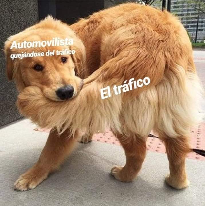 Alez __ 💛 tweet media