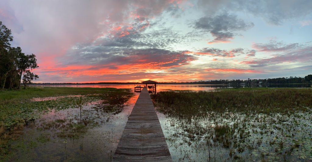 Dylan Wiliam tweet media