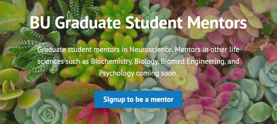We created a repository of graduate student mentors in neuroscience (and soon mentors in a range of life sciences)  for URM undergrads at BU, URMs applying to GPN, and neuro undergrads! In collab w @microbiomarisol, <a href="/luuisdr/">luis d. ramirez</a>, and <a href="/BU_NGSO/">BU NGSO</a>   bugradmentors.wordpress.com