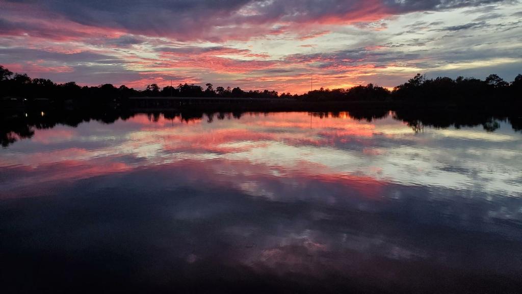 Helen Robst tweet media