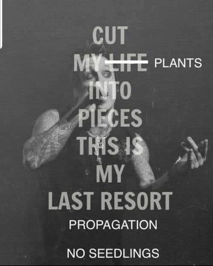 Crucified skinhead. Last resort. Last resort на русском. Last resort перевод. Last resort на русском.