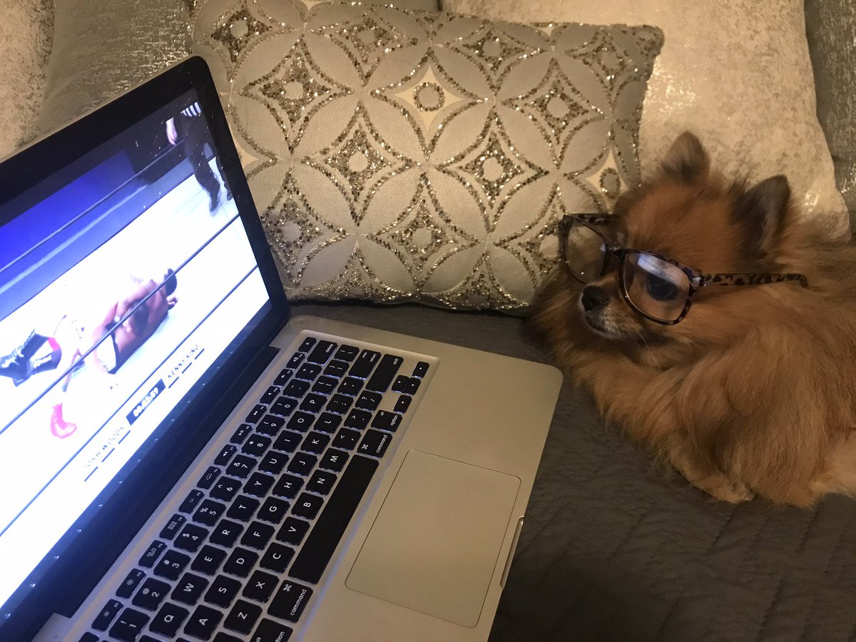diva_foxxy's tweet photo. #ROHPure 💻🐕 https://t.co/xsb1m3Wp4n