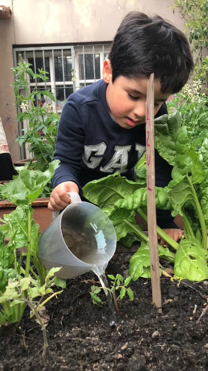 DiegoRuete's tweet photo. Nos resulta increíble que la huerta y la cocina no sean pieza fundamental en la #educación. Por #salud #economía #sustentabilidad #futuro #educocina https://t.co/Lt2O652mK9
