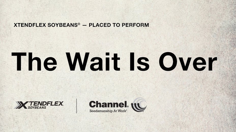 XtendFlex soybeans are here! Learn more about the choice that yields results at learn.ag/XFSoy. #XFSoy