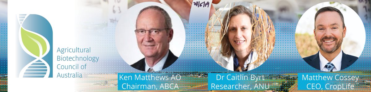 Info_ABCA's tweet photo. Get excited! The 4th edition of ABCA's #GMCropGuide will be launched today @PressClubAust with Ken Matthews AO, Dr. Caitlin Byrt, and Matthew Cossey. Join our live stream of the event from 12.30 AEST via https://t.co/wbvyWBqr3W https://t.co/JDdqn57qsr