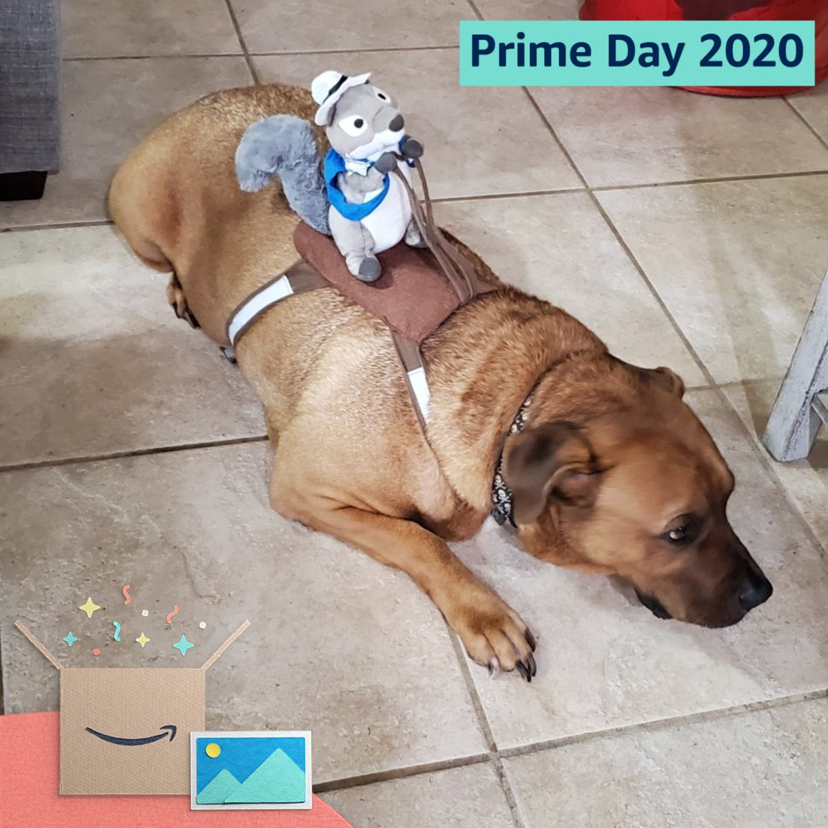 booze93's tweet photo. #PrimeDayPhotos @amazonphotos https://t.co/h2peOcZO96