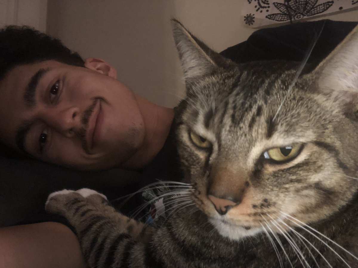 Cat check ⚡️🤩