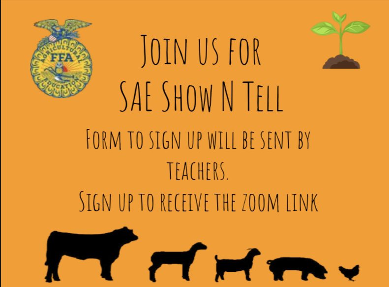 Be sure to come to our virtual SAE show n’tell next Thursday!!