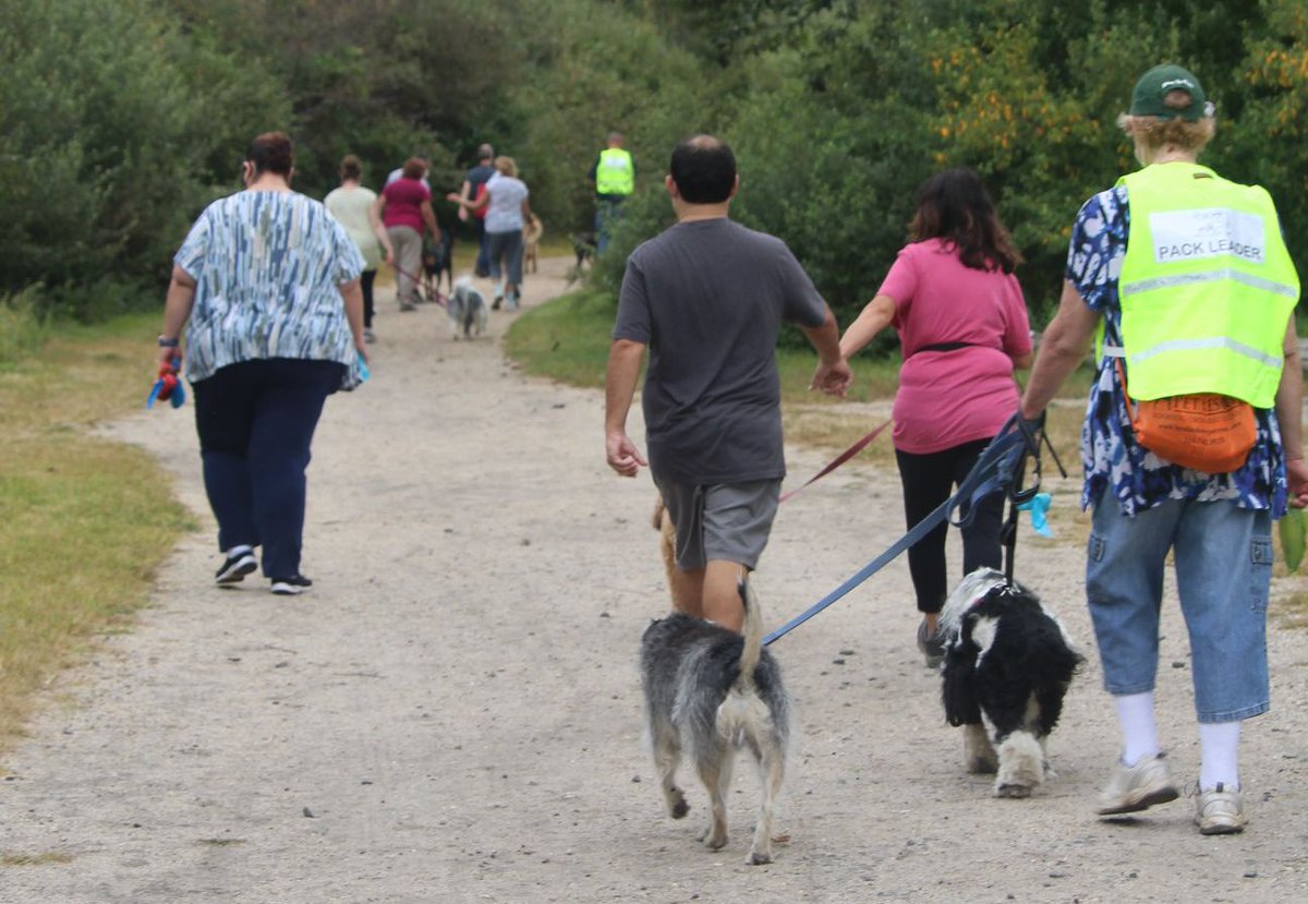 LI_Dog's tweet photo. We really enjoyed our Pack Walk at Edgewood Oak Brush Plains Preserve! Follow us to learn about future events!
#LongIsland #Dogs #DogsParks #LIDog https://t.co/LRWti3ZSvq