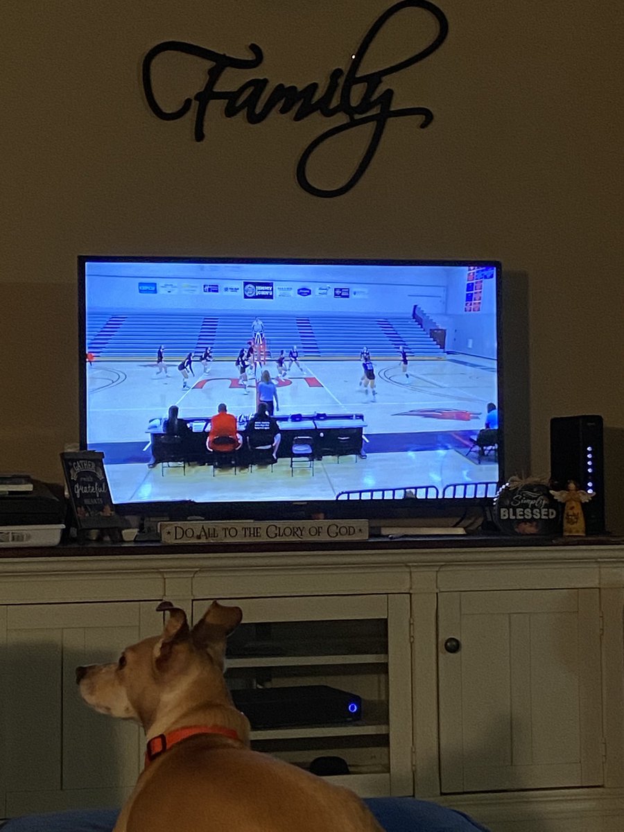 noah_harris5's tweet photo. Let’s go Frances!!! #goredlions https://t.co/u5ixPub47v