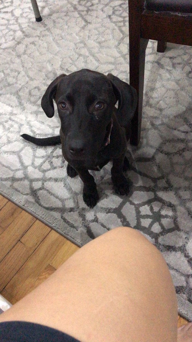 Cecilia Mares tweet media