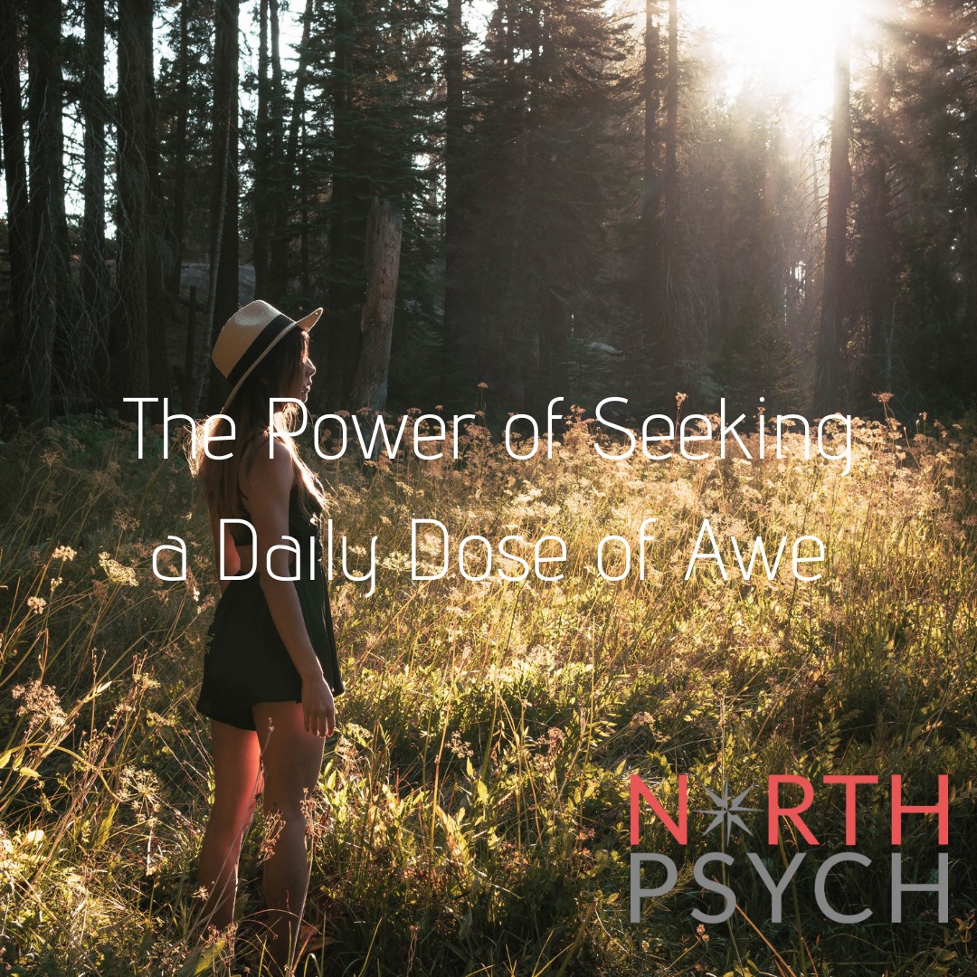 NorthPsych's tweet photo. Research suggests that turning one's attention to something "bigger than oneself" during a 15-minute walk outdoors (at least once a week for eight weeks) cultivates a sense of awe—which tends to boost positive, prosocial emotions and reduce stress. 
⁠
https://t.co/wTWsvR2Klx https://t.co/VPxfr4iMjs