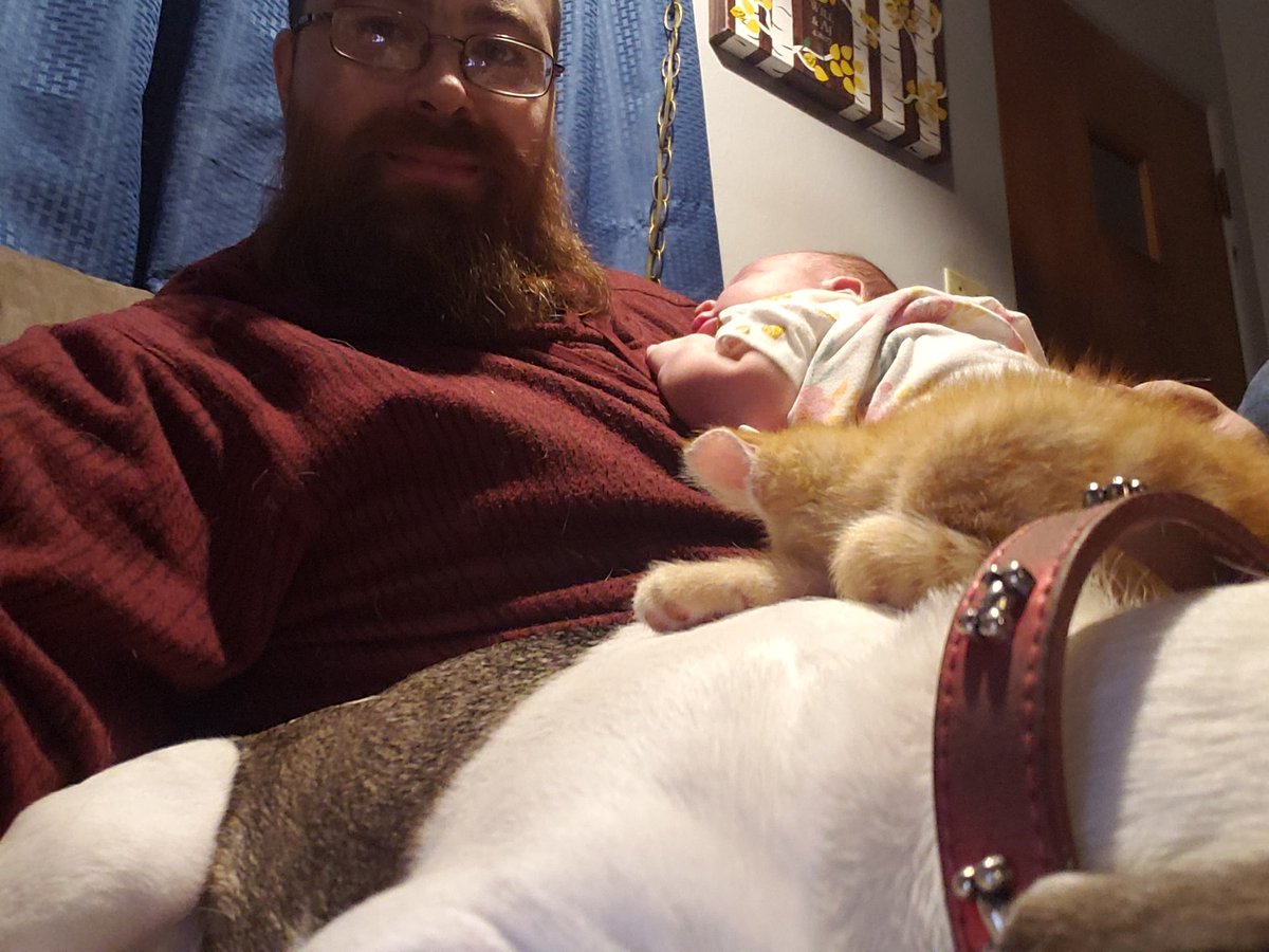 catsinabag420's tweet photo. Creature stack! #pets #newborn #gamerdad #datbeardtho https://t.co/betuwpxQS8
