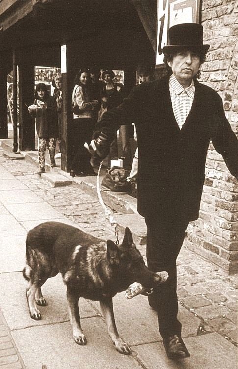 Bob Dylan with cats and dogs