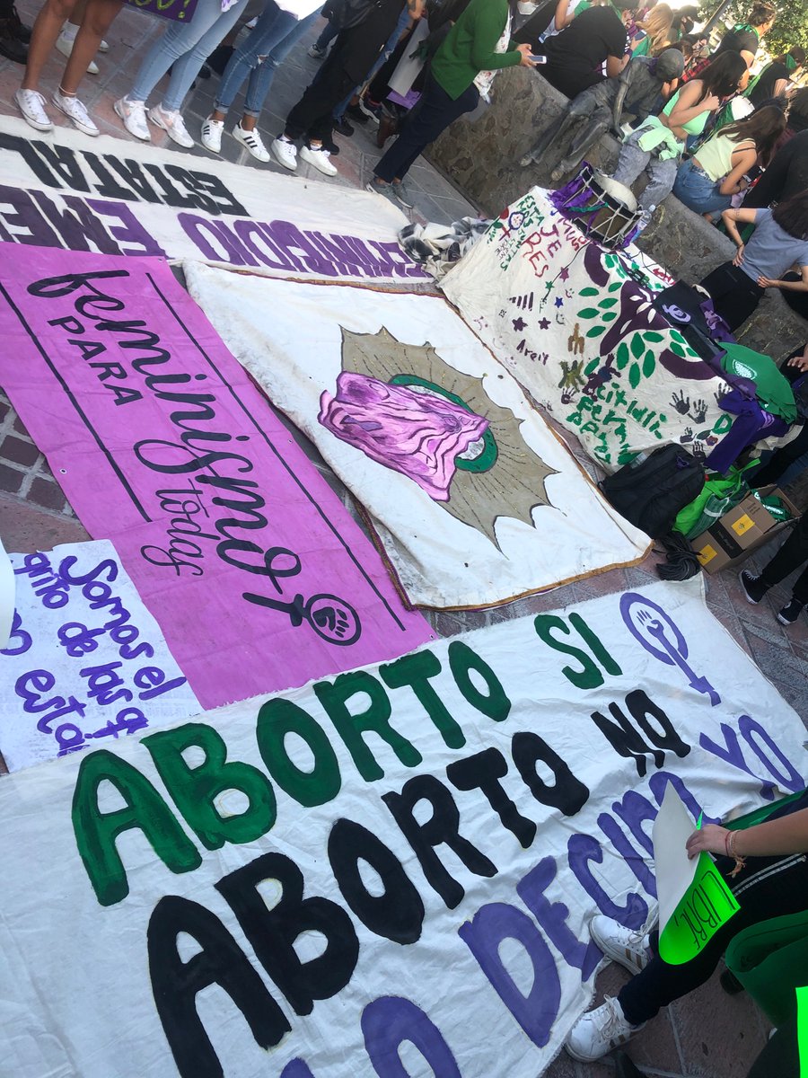 anamuchow's tweet photo. hoy fui sola a la marcha, me acogieron en cuestión de segundos y me hicieron sentir tan segura. 
no se va a caer, lo vamos a tirar 
#SeraLey https://t.co/HhWzpi7aJd